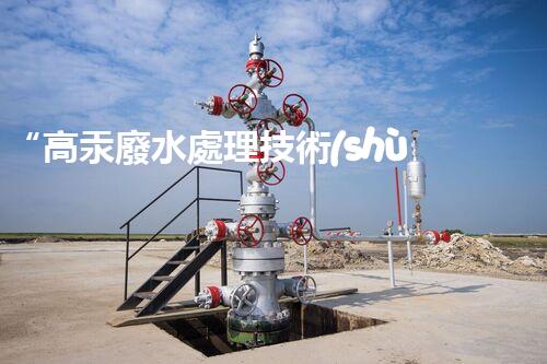 “高汞廢水處理技術(shù)，綠色環(huán)保新篇章”